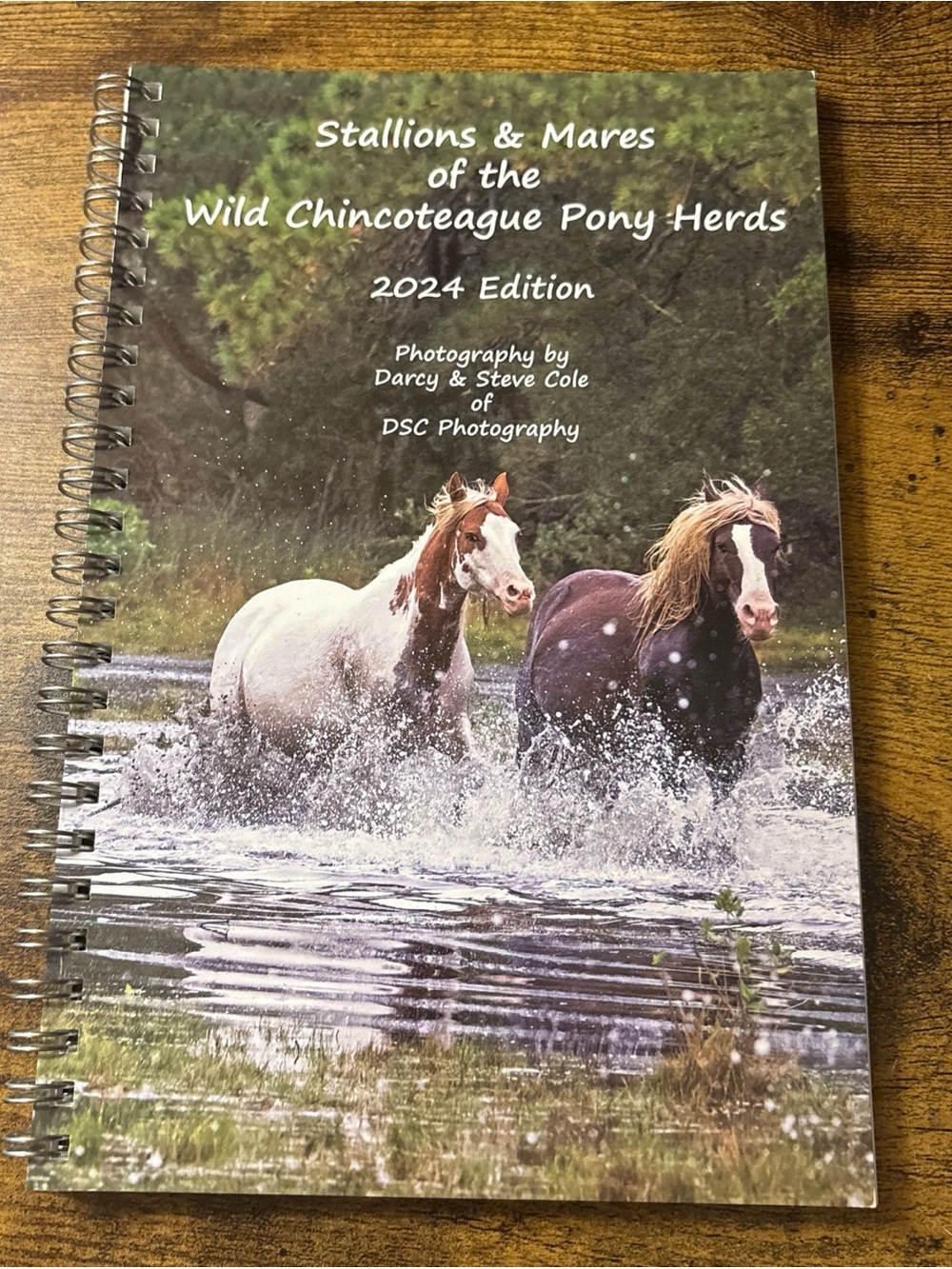 Stallions & Mares Of The Chincoteague Wild Ponies 2024 Edition - DSC Photography